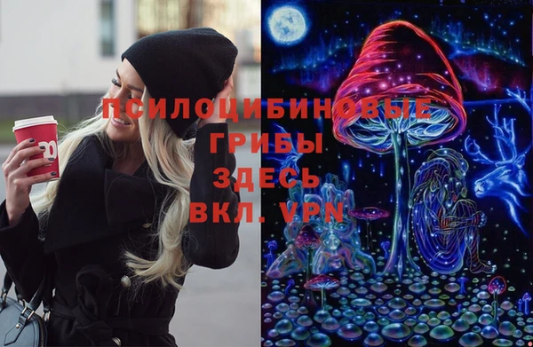 ПСИЛОЦИБИНОВЫЕ ГРИБЫ Нея