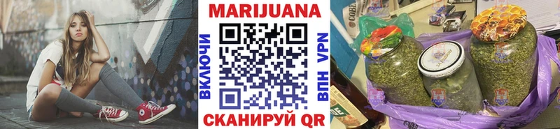 закладка  Шагонар  Канабис план 